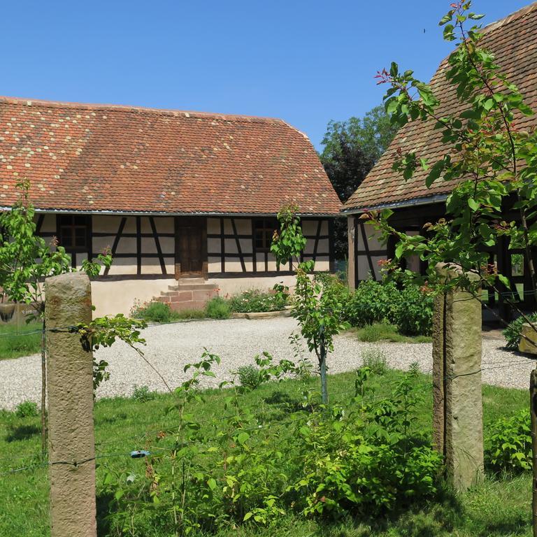 Gite D'Audrey Et Jean Uttenheim Luaran gambar